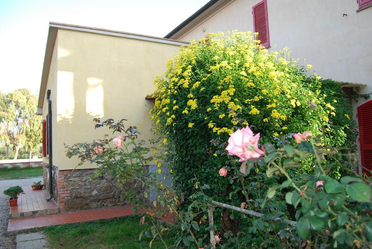 Casa Vacanze Guardamare San Vincenzo Exterior photo